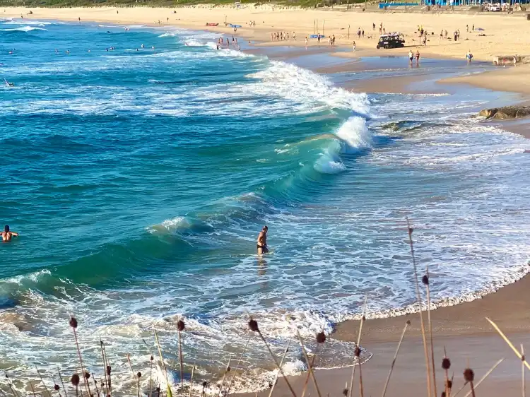 Các khách sạn ở Maroubra
