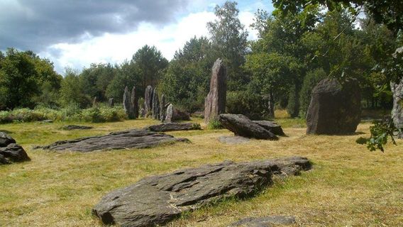 The menhirs of Monteneuf