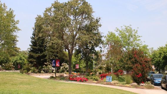 Veterans Memorial Park