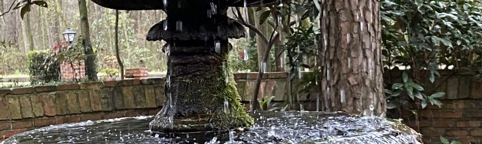 ДуплинОднодневные туры