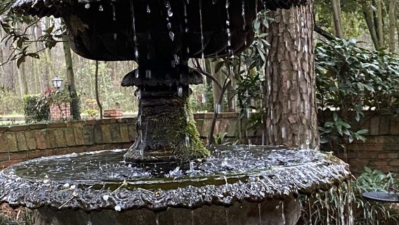 Country Squire Winery