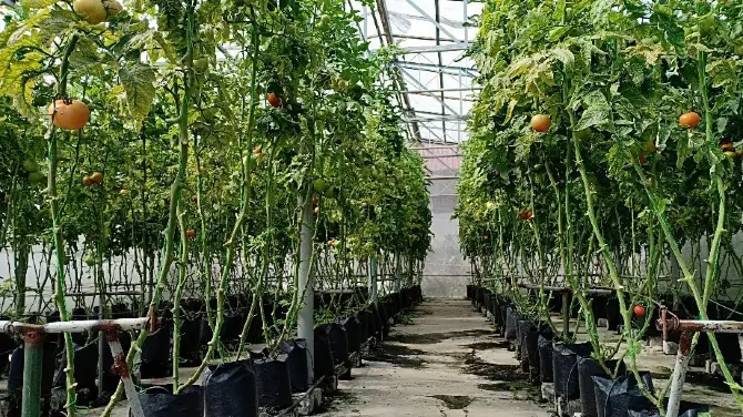 3_Kusuma Agro Wisata