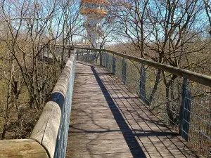 Nationalpark Hainich