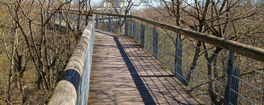 Nationalpark Hainich