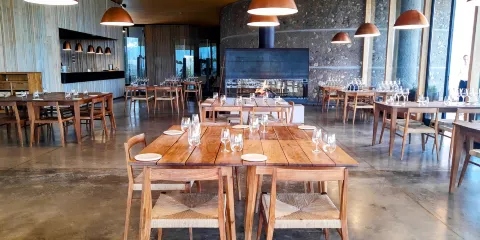 Bodega Zuccardi Valle de Uco