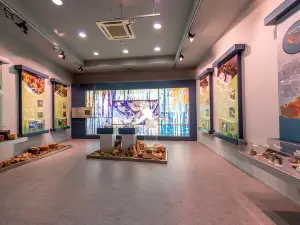 Natural History Museum