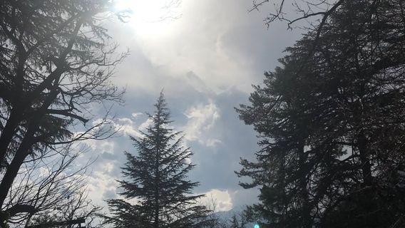 The Urusvati Himalayan Research Institute
