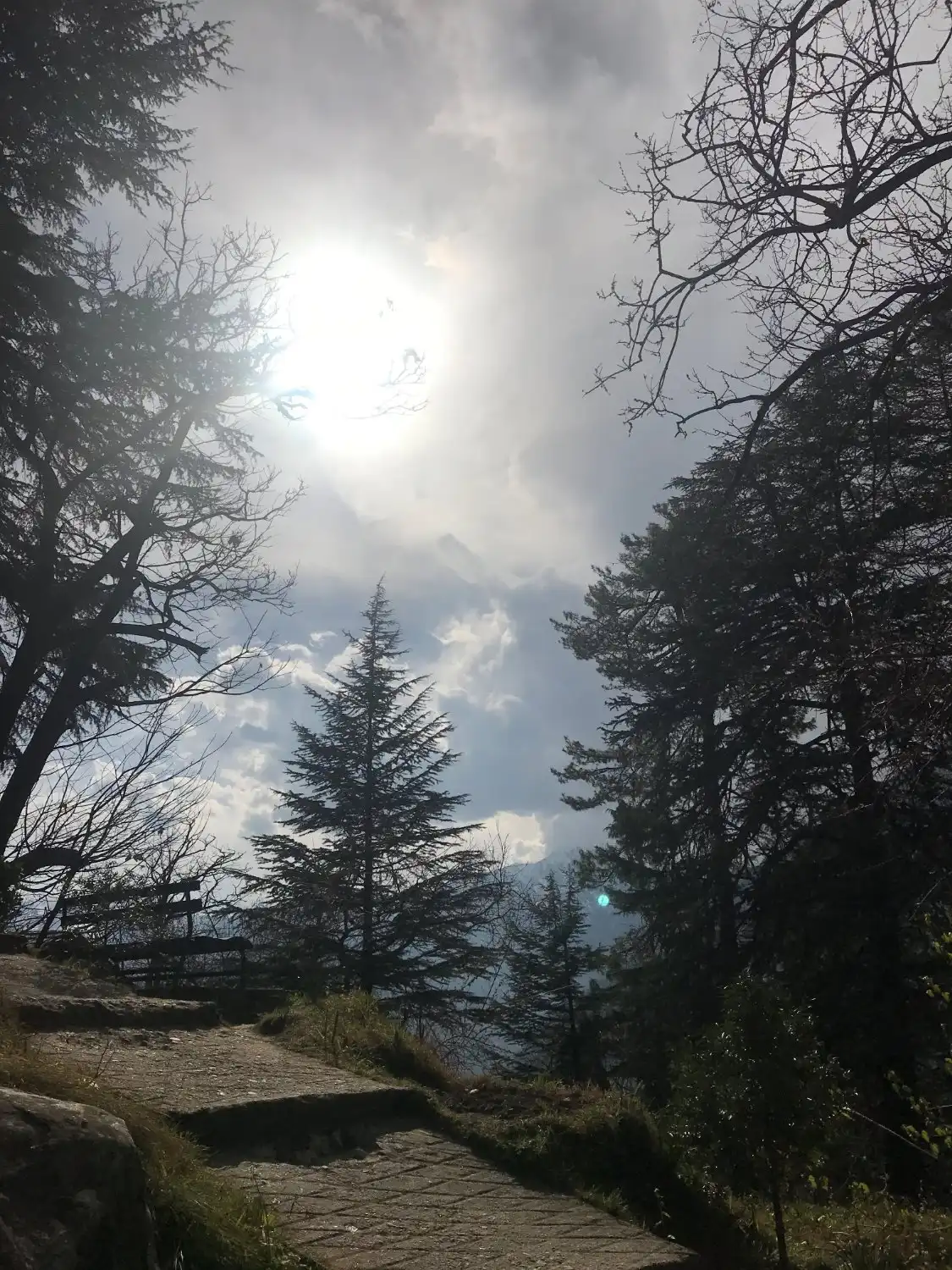 Hotels near The Urusvati Himalayan Research Institute