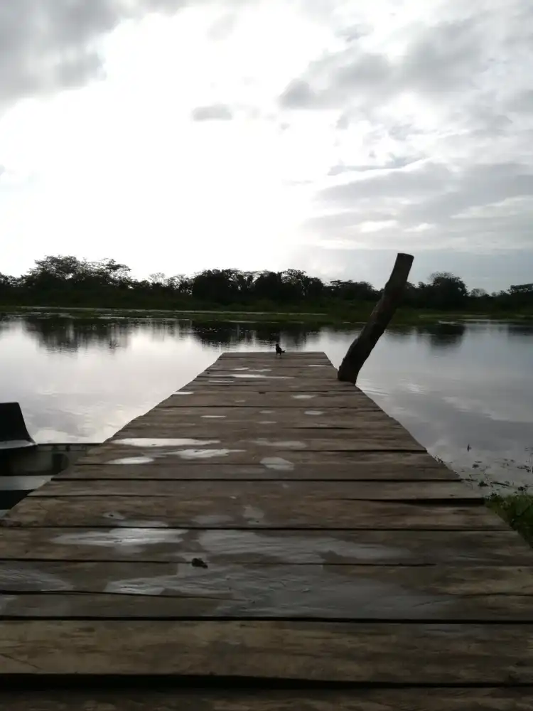 Hotels in Los Chiles