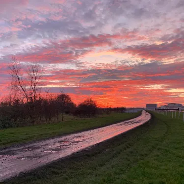 Sandall Beat Wood