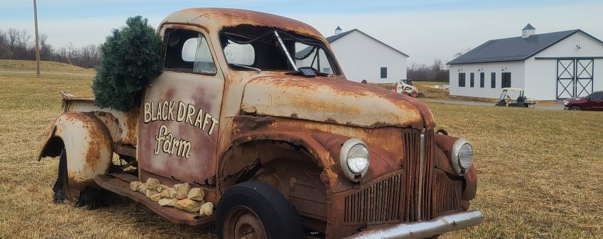 Black Draft Farm & Distillery