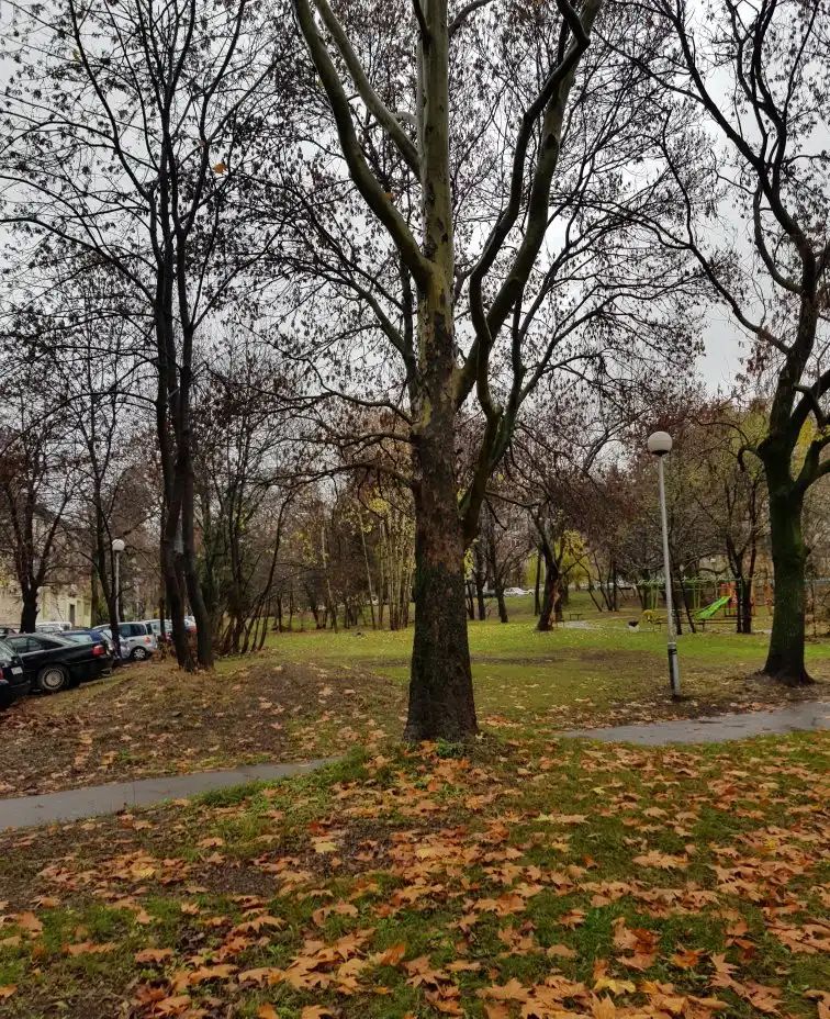 4_Holy Trinity Park