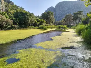 Olympos Beach
