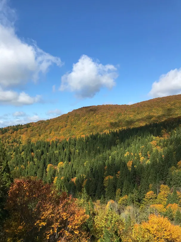 5_Taiheizan Opus Slopes Information