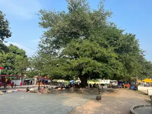 Girija Temple Phulhar