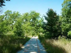 Park of Milești
