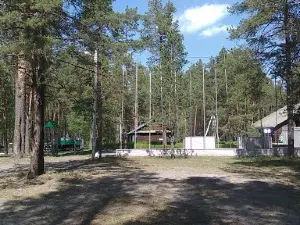 Ozornyy