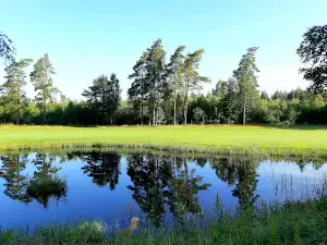Alvesta Golfclub