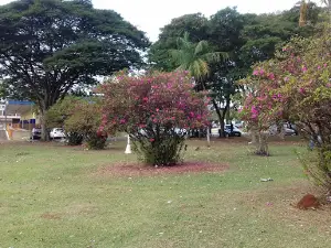 Bilhar Norte Sul Ind e Locação de Mesas