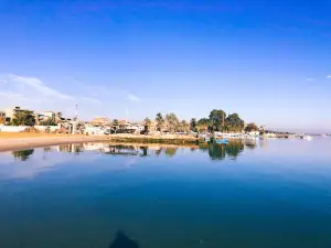 Flowers Beach