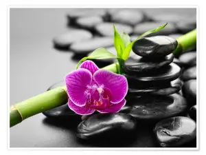 Baker Girls Beauty Relaxation & Recovery Retreats