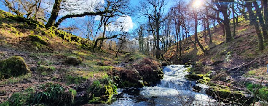 Venford Brook