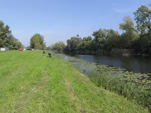 Ribolovacka pista Ziva