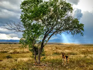 Westminster Hills Open Space Off-Leash Area