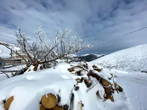 Zigana Snowy Heights