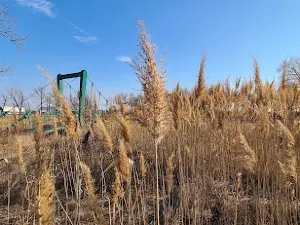 Parcul "Crâng" Tecuci