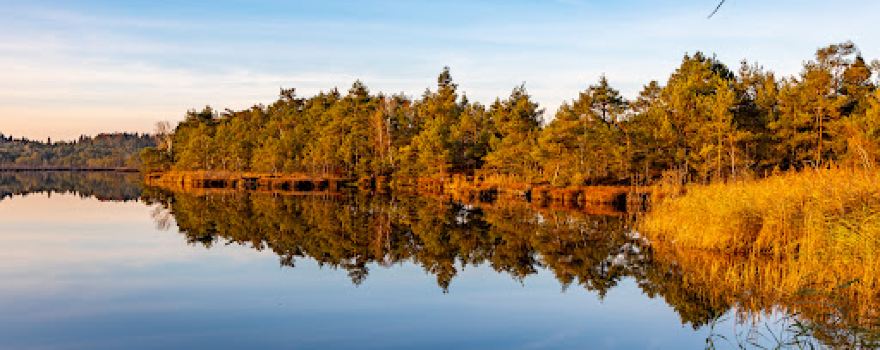 Moorweiher