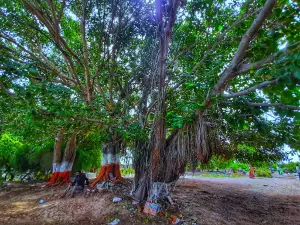 Ancient Chalukya-Age Shri Siddheshwara Temple Toka