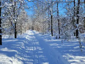 Pigeon Creek Park