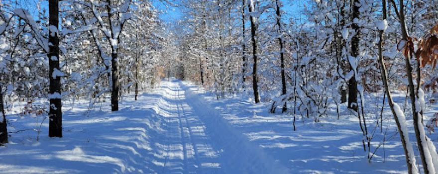 Pigeon Creek Park