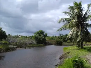 Rio Sauípe