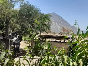 Fundo García