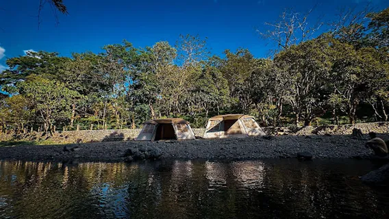 CAMP AWOL ADVENTURE PARK