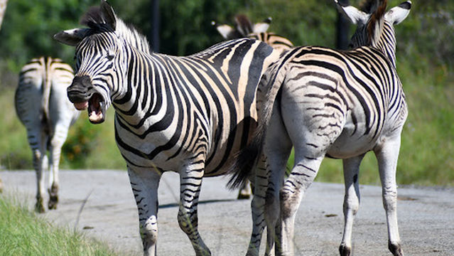 Bisley Valley Nature Reserve