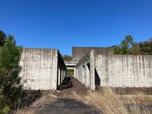Ramsar Caddo Lake Wetlands Visitor Center