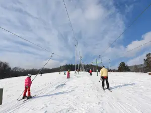 Penzion a Ski areál RS Trnava