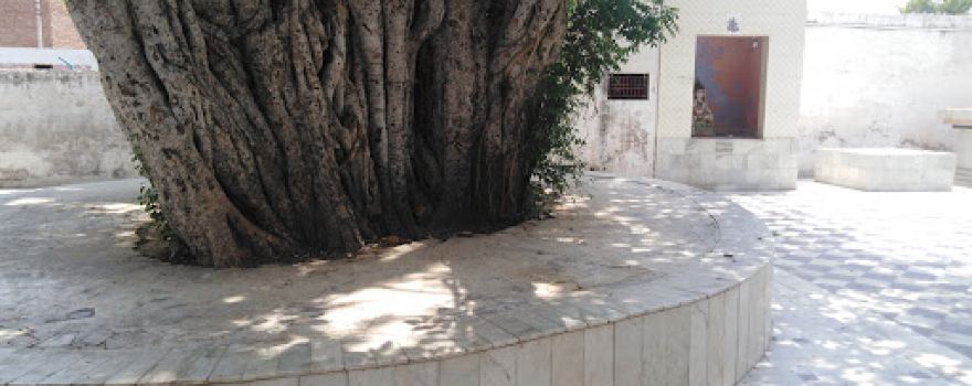 Maa Chamunda Mandir