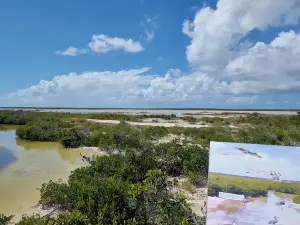 Anegada