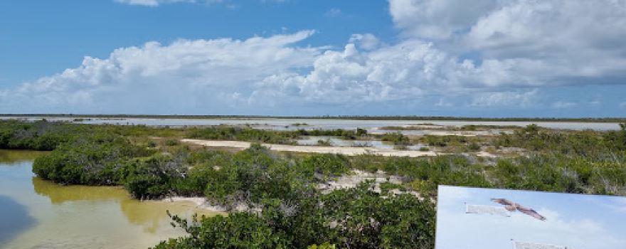 Anegada