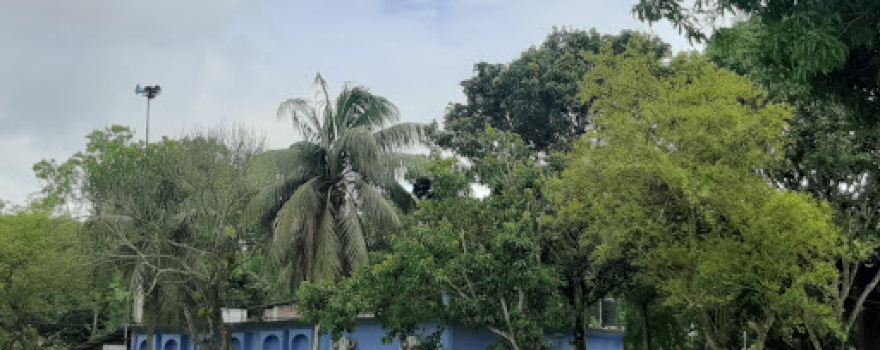 Nawabganj Upazila Parishad Jame Masjid (নবাবগঞ্জ উপজেলা পরিষদ জামে মসজিদ)
