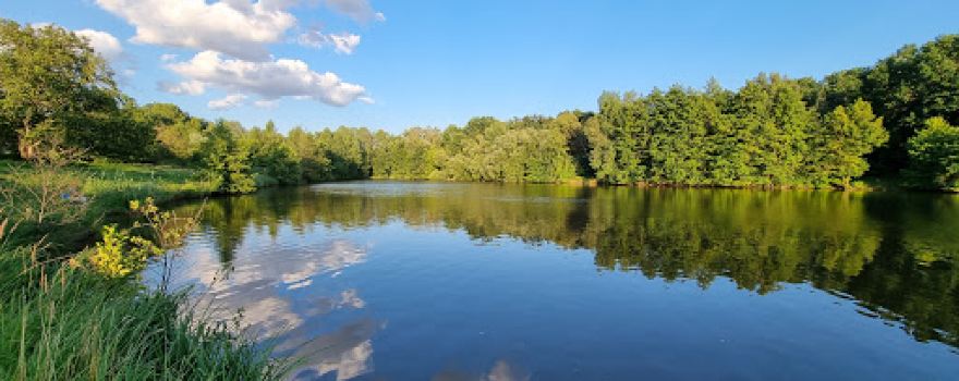 Koupaliště/rybník Eliška