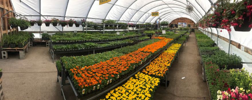 Gallatin Valley Garden Center