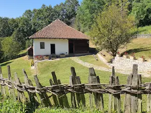 Maison natale de Živojin Mišić