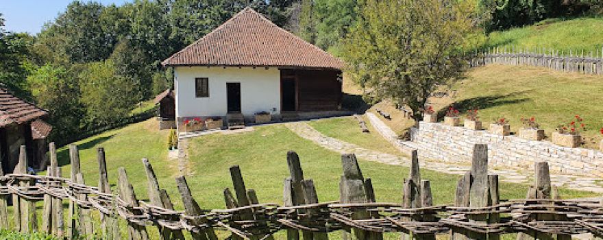 Maison natale de Živojin Mišić