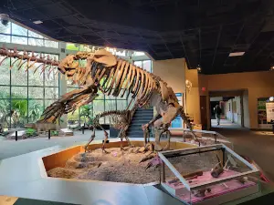 Mississippi Museum of Natural Science