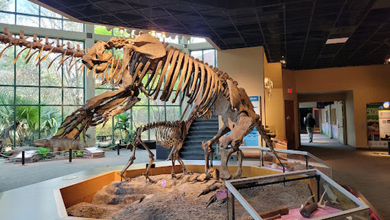 Mississippi Museum of Natural Science